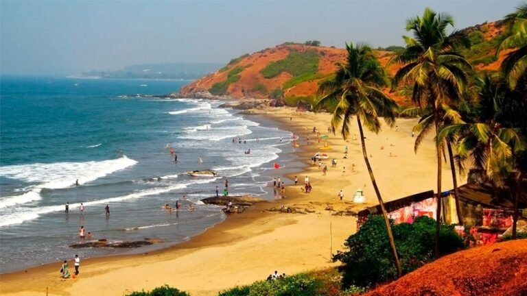 01-26-scale_1200-min