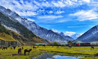 5 Night 6 Days Kashmir Group Package